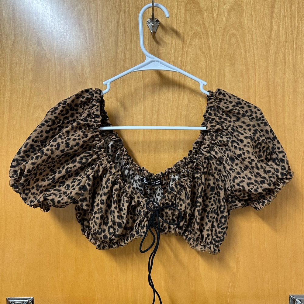 cheetah going out top